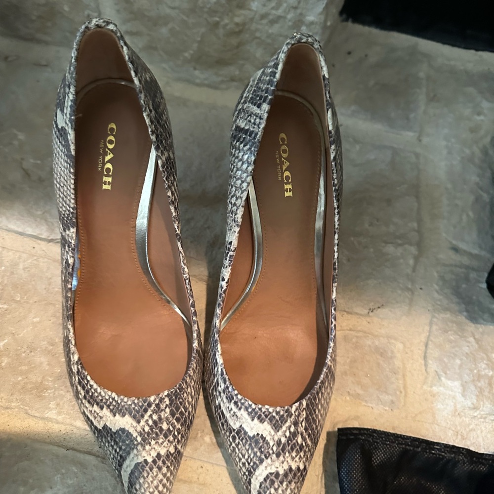 Coach Snakeskin